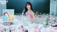 少女时代 - Girls' Generation 10th AnniversaryReply