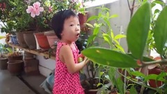拔萝卜