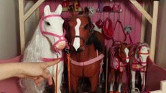 American Girl Doll House Tour