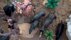 Safari Wild Animals In The Sand Box Watering Hole