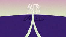 ANTS - Don't Fight