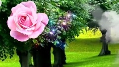 GOOD MORNING Video