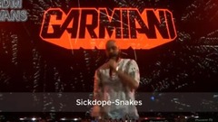 Garmiani Drops only -Tomorrowland 2017
