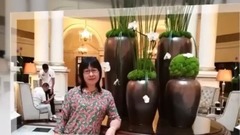 晚风