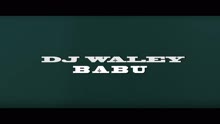 Dj Waley Babu