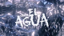 Como el Agua (Official Video)