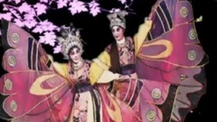 梁祝•恨绵绵