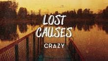 Lost Causes - Crazy (Still video)