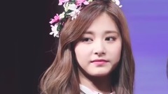 TZUYU FANSIGN COMPILATION 饭拍版