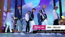 防弹少年团 - DNA