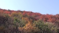 山西风光