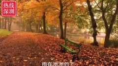 等着你回家