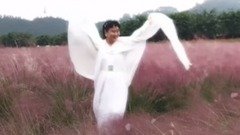 粉色浪漫曲