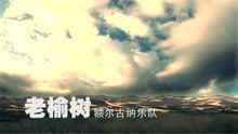  - 老榆树-额尔古纳乐队