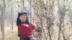 一片落叶
