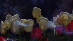 For You