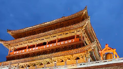 雏燕南归