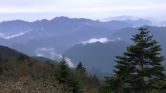 阴峪河大峡谷望岳坪野人山