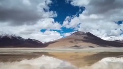梦