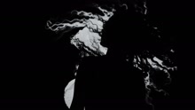 Berrak - Berrak ft Berrak -