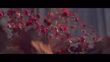 Mônica Guedes - Tentando Te Esquecer (Videoclipe)