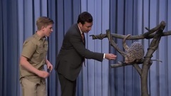 Jimmy Gets Attacked by Robert Irwin's Anteater