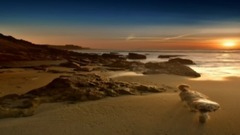 醉美夕阳
