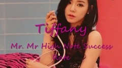 黄美英tiffany Mr Mr高音剪辑饭制版