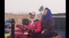 扒苞米之歌