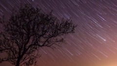 Stars Overhead