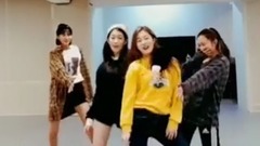 在公司舞蹈室翻跳red velvet & twice & blackpink等热曲