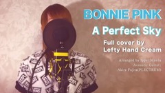 A Perfect Sky(Cover)