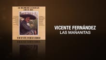 Vicente Fernández - Las Mañanitas (Cover Audio)