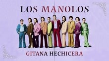 Gitana Hechicera (Cover Audio)