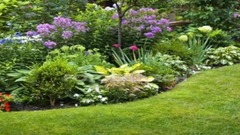 In The Garden