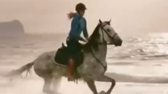 Pegasus