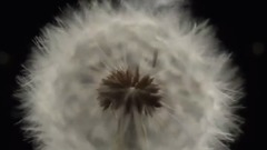 秋天的风