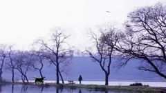 在水一方