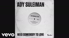  - Ady Suleiman - Need Somebody To Love