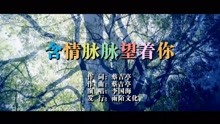  - 李国海-含情脉脉望着你MTV