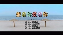  - 宋立国-想着你爱着你MTV