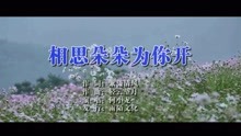  - 何小龙-相思朵朵为你开MTV