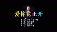  - 袁金洲-爱你花正开MTV