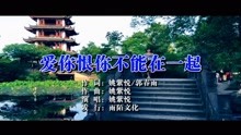  - 姚紫悦-爱你恨你不能在一起（原人原唱）MTV