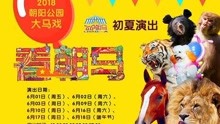 《朝阳公园大马戏》初夏演出季开演 六一上演马戏嘉年华