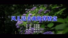  - 耿祥花-风儿送去我真情意MTV