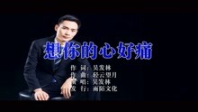  - 吴发林-想你的心好痛MTV