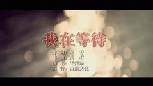  - 王爱华-我在等待MTV