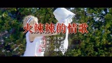  - 宝云-火辣辣的情歌MTV