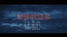  - 刘洪杰-静静的想你MTV